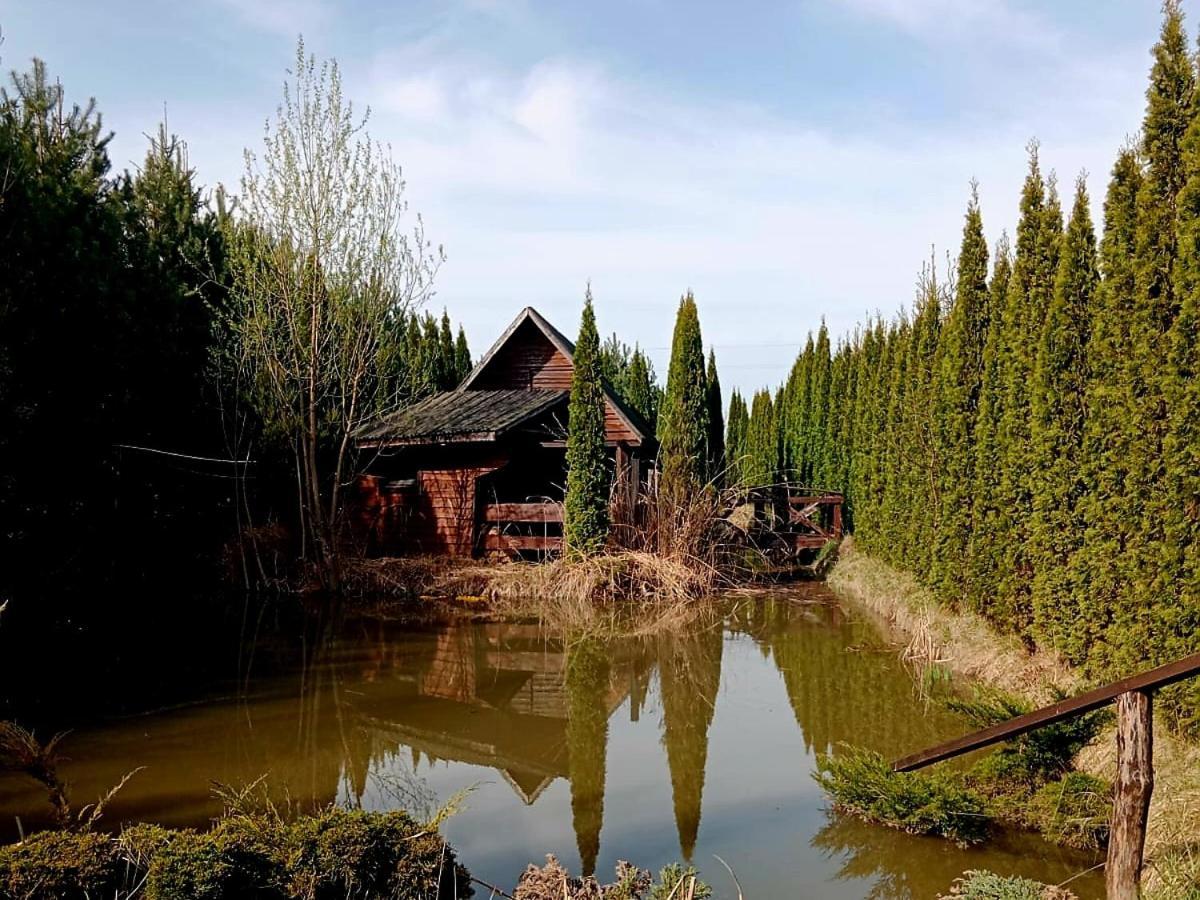 Dwór Na Otulinie Bialowieza Exterior foto